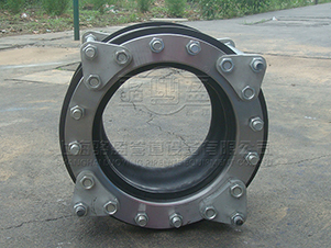 甘肅平涼市駱盈雙球體橡膠膨脹節產品圖